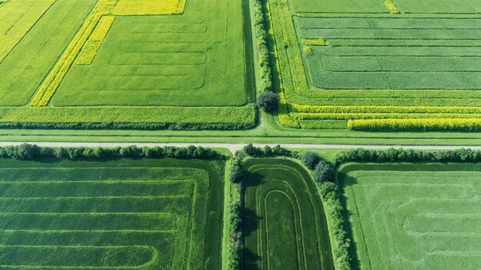 Sustainable fertilizers could boost crop yields by 17% by 2026: what controlled-release potassium nitrate means for farmers